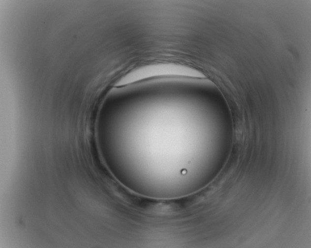 X0000114020566200910091416