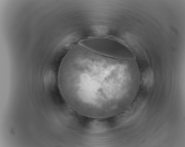 X0000114020568200910091416