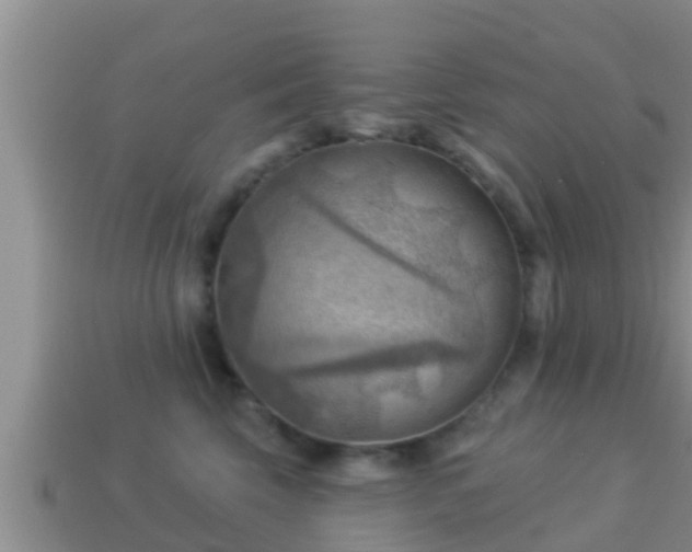 X0000114020569200910091416