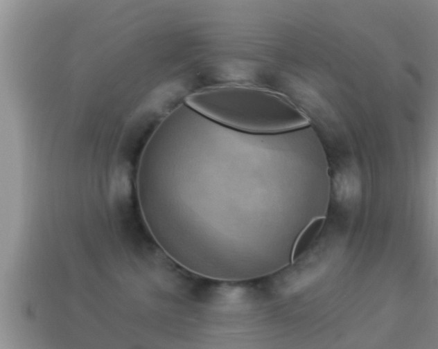 X0000114020570200910091416