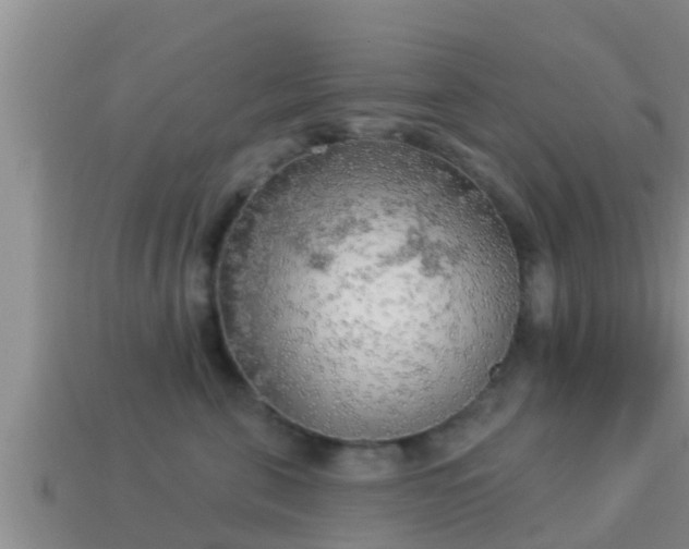 X0000114020571200910091416