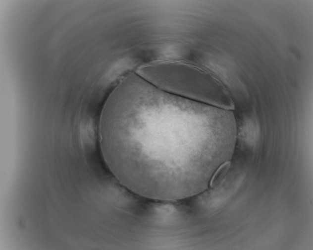 X0000114020572200910091416