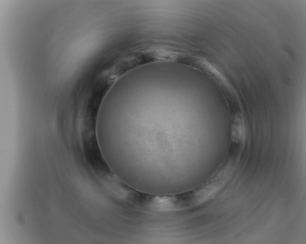 X0000114020573200910091416