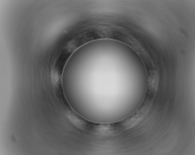 X0000114020574200910091416