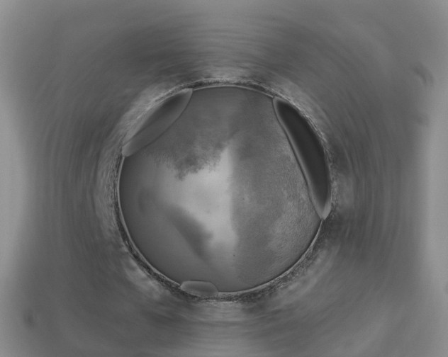 X0000114020577200910091416