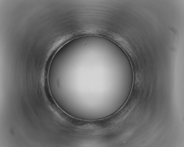 X0000114020578200910091416