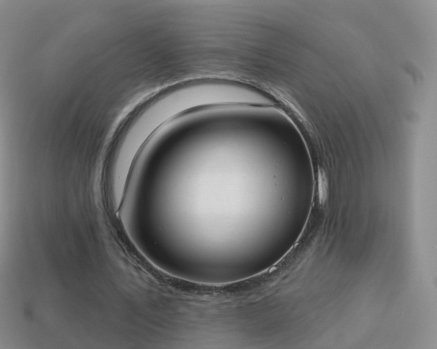 X0000114020579200910091416