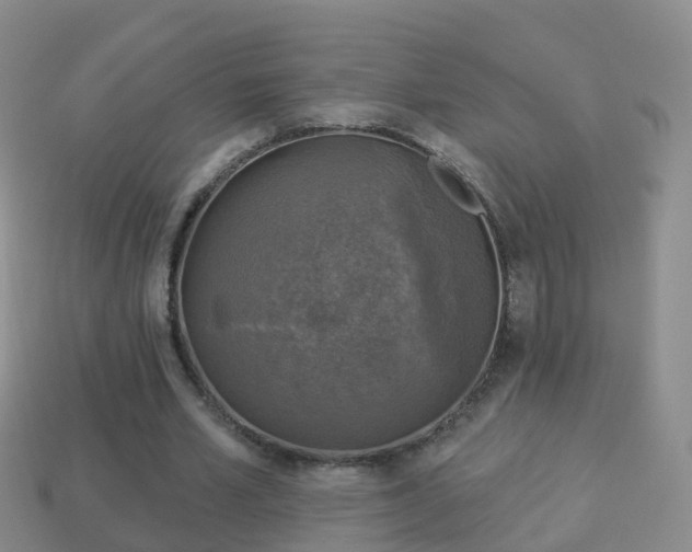 X0000114020581200910091416