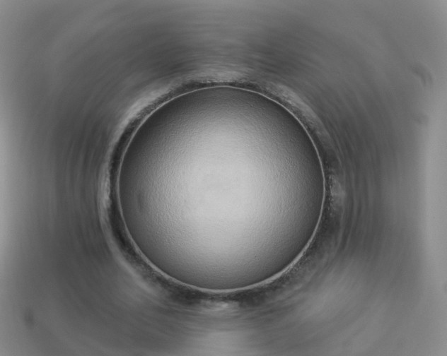 X0000114020582200910091416