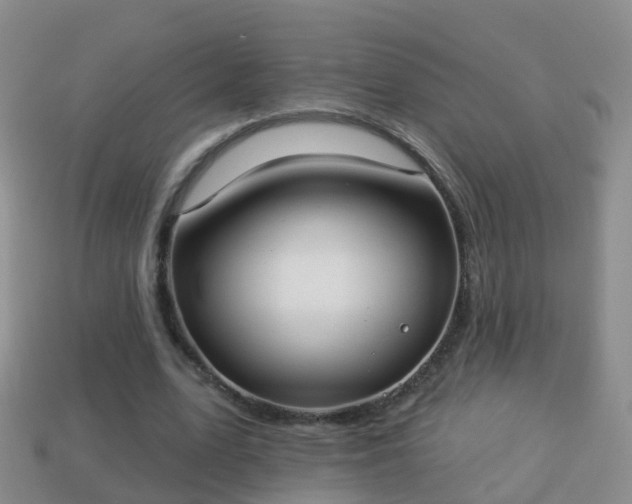 X0000114020583200910091416