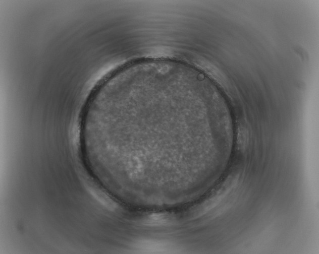 X0000114020584200910091416