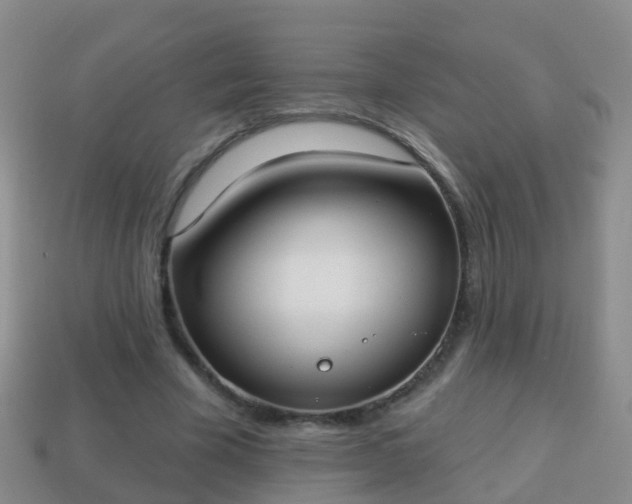 X0000114020585200910091416