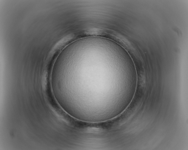 X0000114020586200910091415