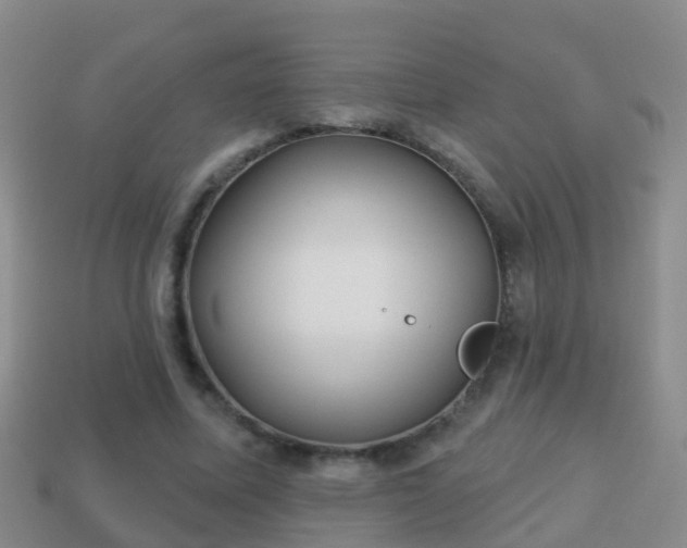 X0000114020587200910091415