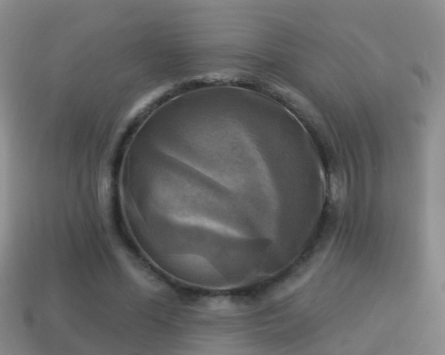 X0000114020588200910091415