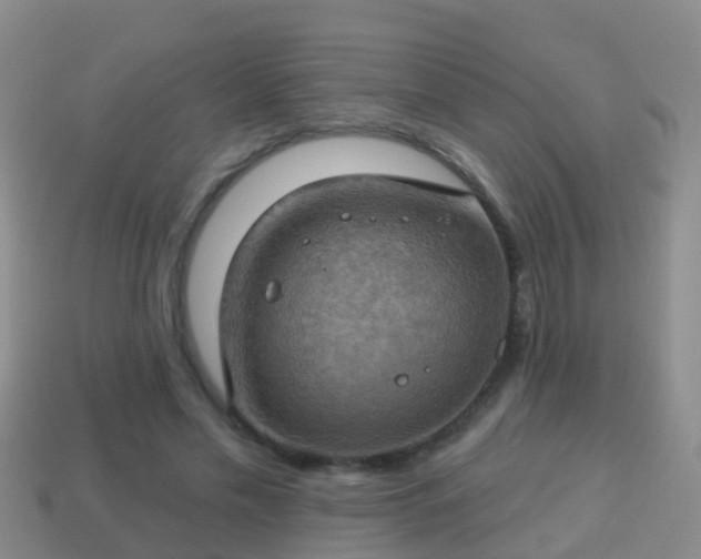 X0000114020589200910091415