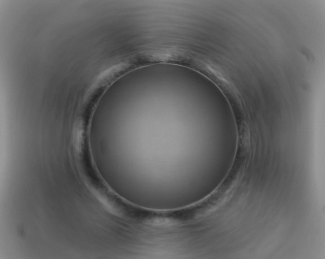 X0000114020590200910091415