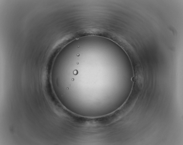 X0000114020591200910091415