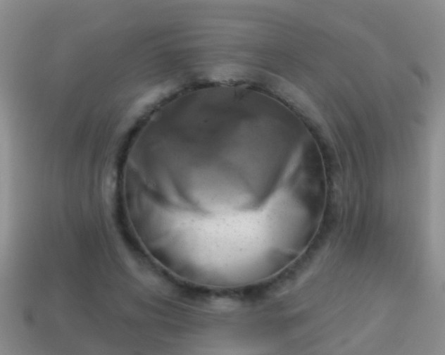 X0000114020592200910091415