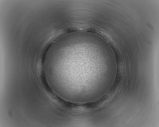 X0000114020594200910091415