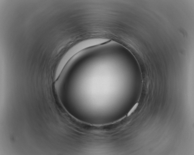 X0000114020595200910091415