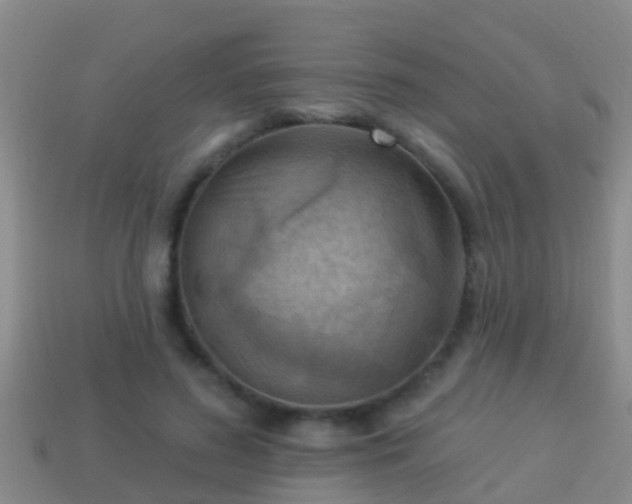 X0000114020596200910091415