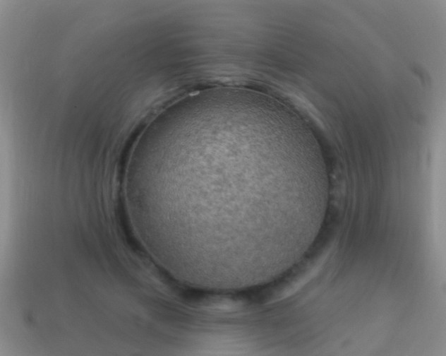 X0000114020597200910091415