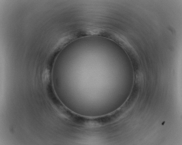 X0000114020598200910091415