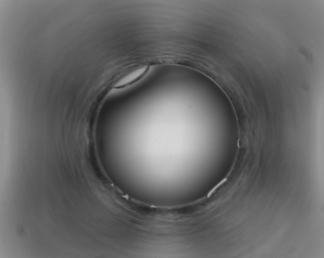 X0000114020599200910091415