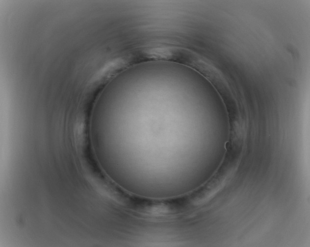 X0000114020600200910091415