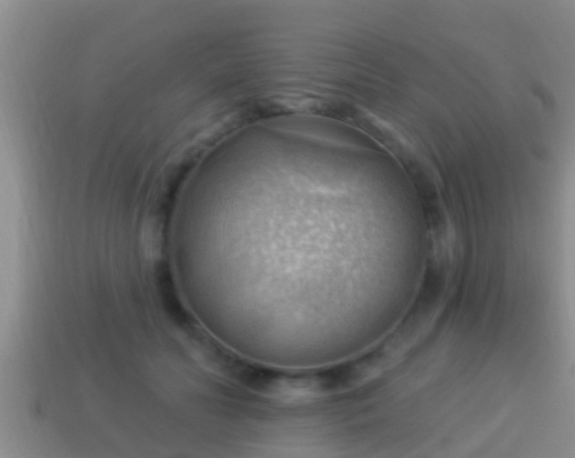 X0000114020606200910091415