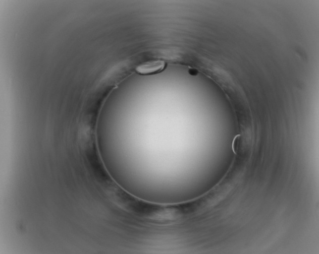 X0000114020609200910091415