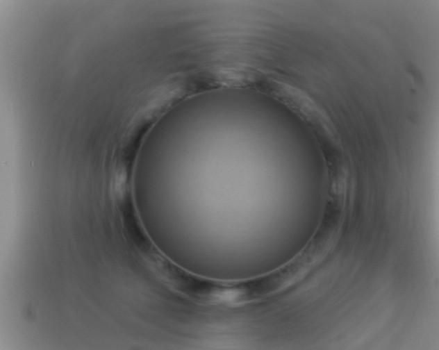 X0000114020610200910091415