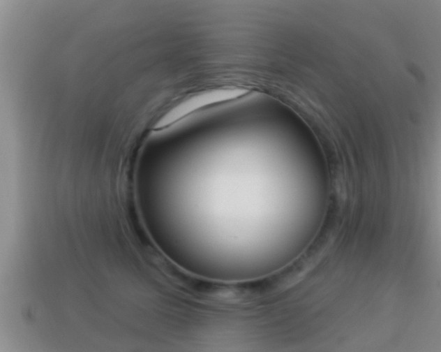 X0000114020611200910091415