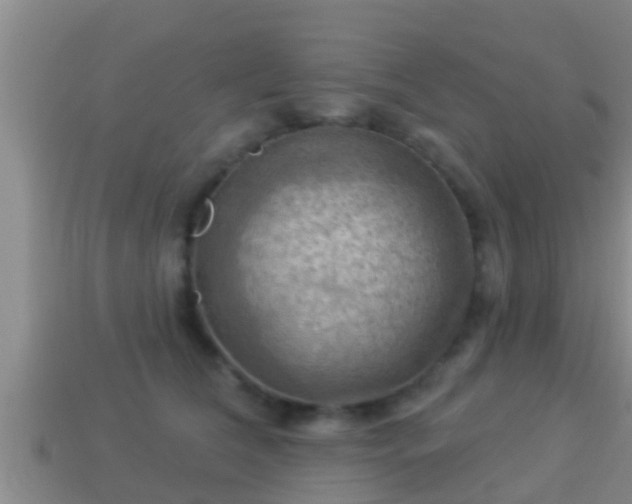 X0000114020612200910091415