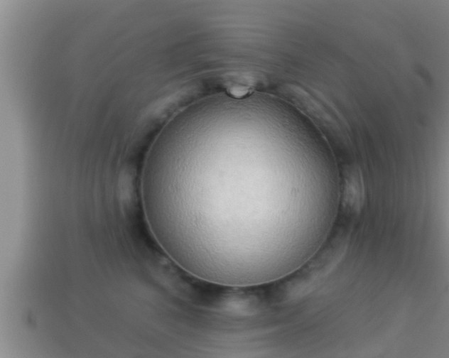 X0000114020616200910091415