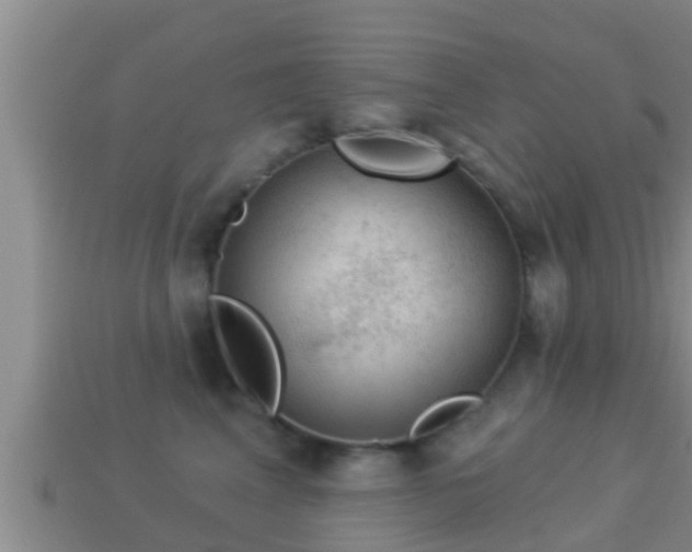 X0000114020617200910091415