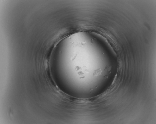 X0000114020621200910091415