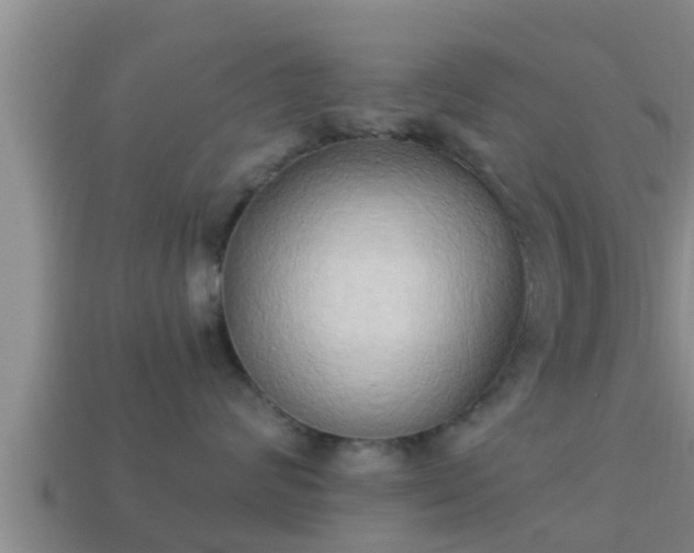 X0000114020624200910091415