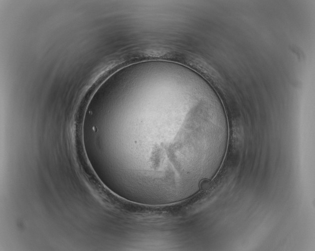 X0000114020626200910091414