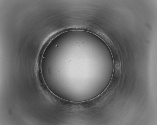 X0000114020628200910091414