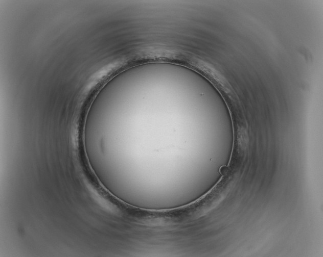 X0000114020629200910091414