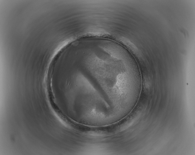 X0000114020630200910091414