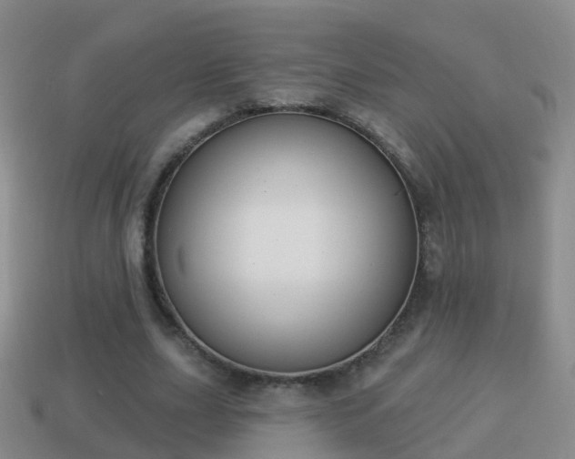 X0000114020631200910091414