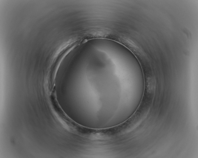 X0000114020634200910091415