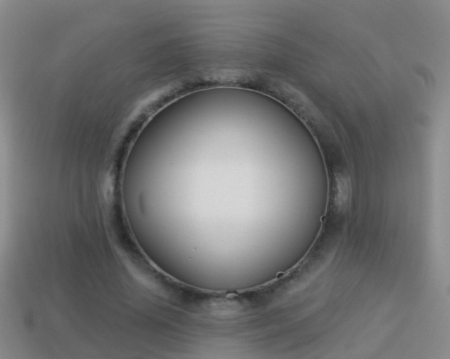 X0000114020636200910091415