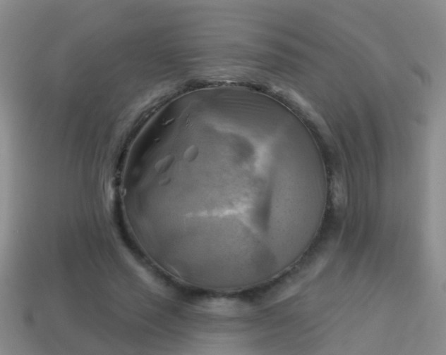 X0000114020637200910091415