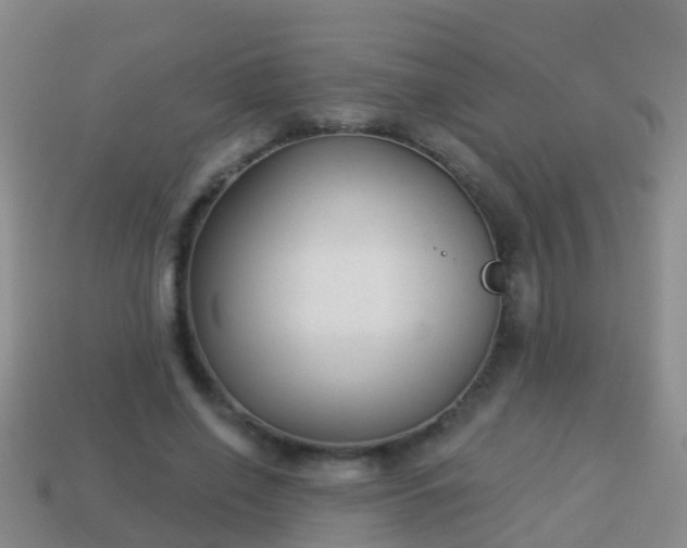 X0000114020638200910091415