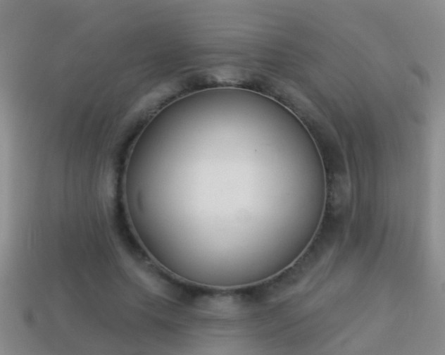 X0000114020639200910091415