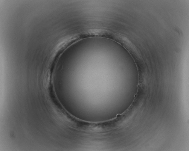 X0000114020640200910091415